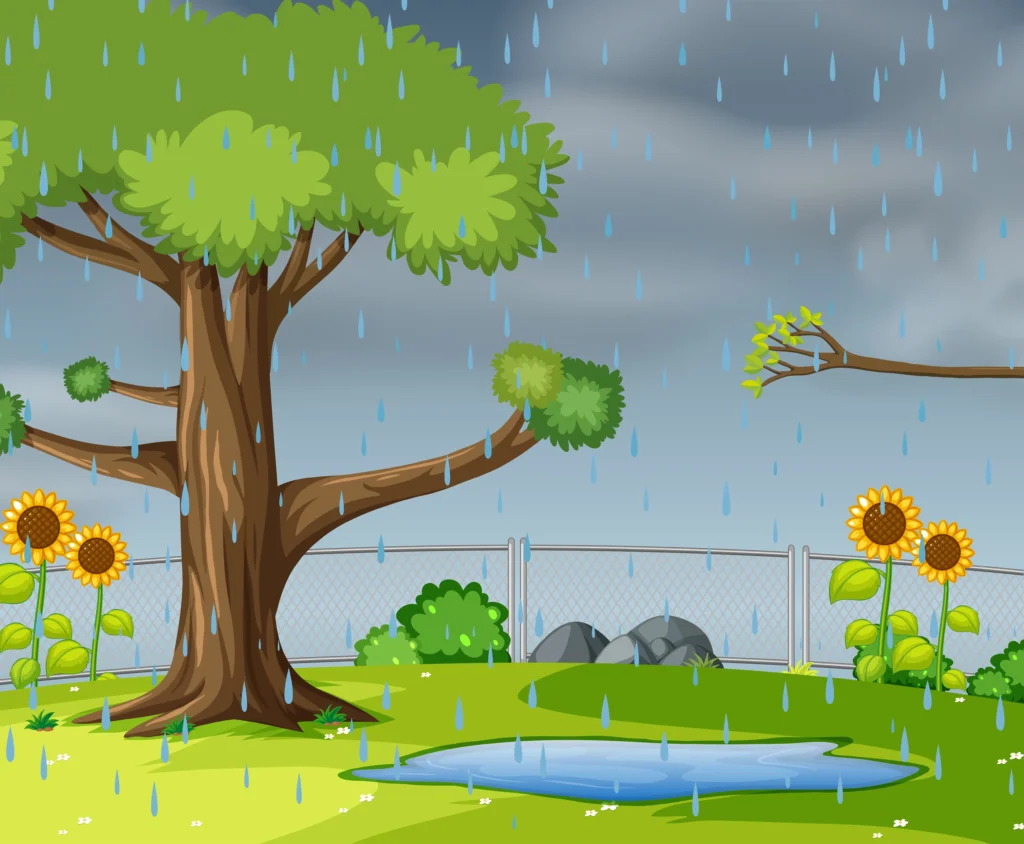 🌧️ বৃষ্টির দিনে দেখা